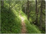 Globasnica / Globasnitz - Veška planina / Wackendorfer Alm